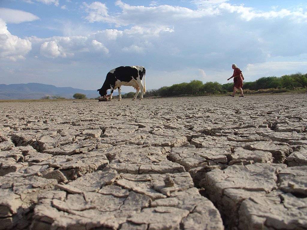 Aprende más acerca de la sequía