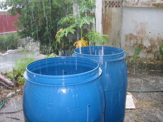Cinco usos originales para el agua de lluvia recolectada