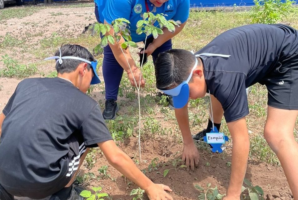 Campamentos de verano JAPAC: educación ambiental y diversión para las comunidades