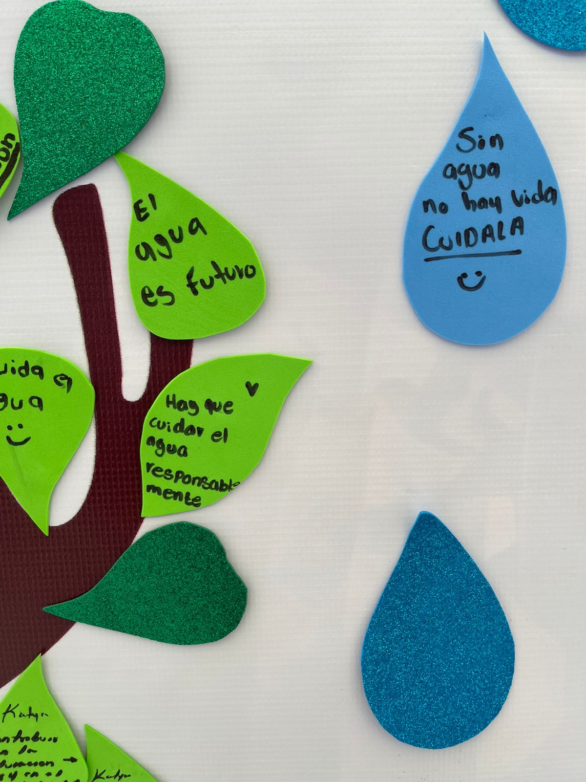 01-JapacImpulsaPaisajeCompromisosAgua09